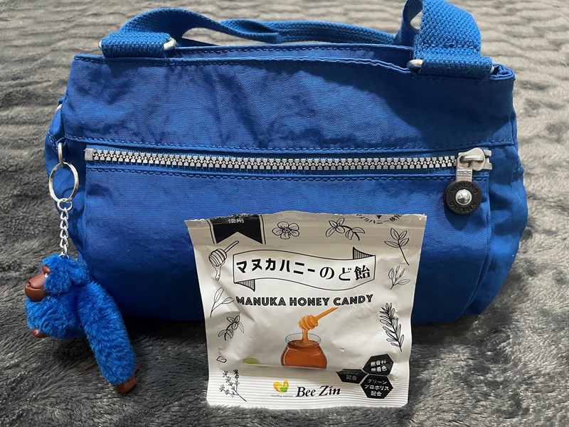試用