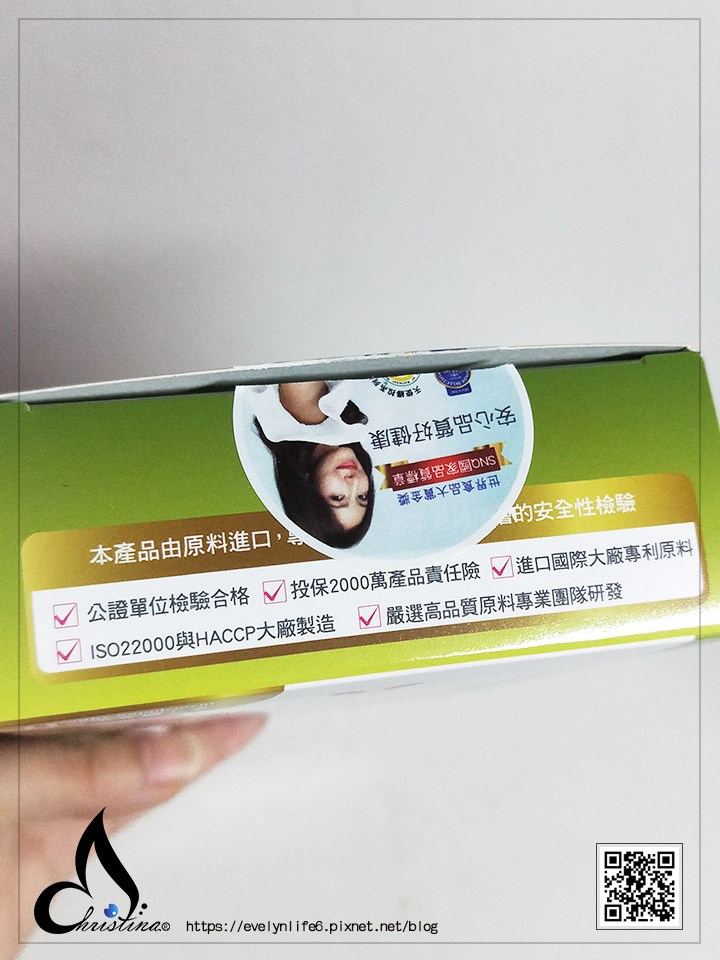 試用