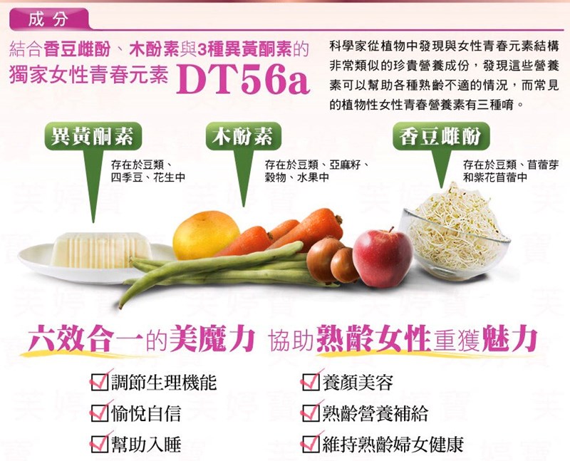 試用