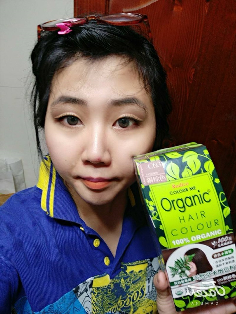 試用