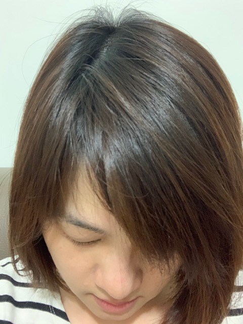 試用