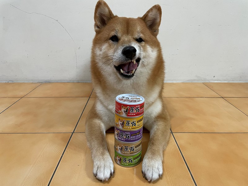試用