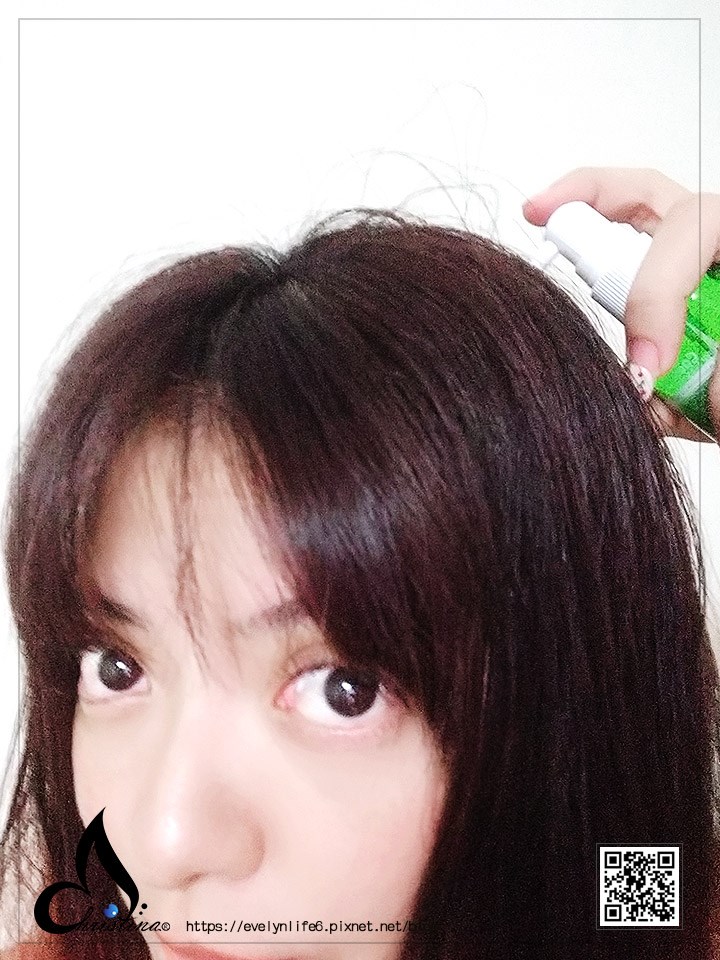 試用