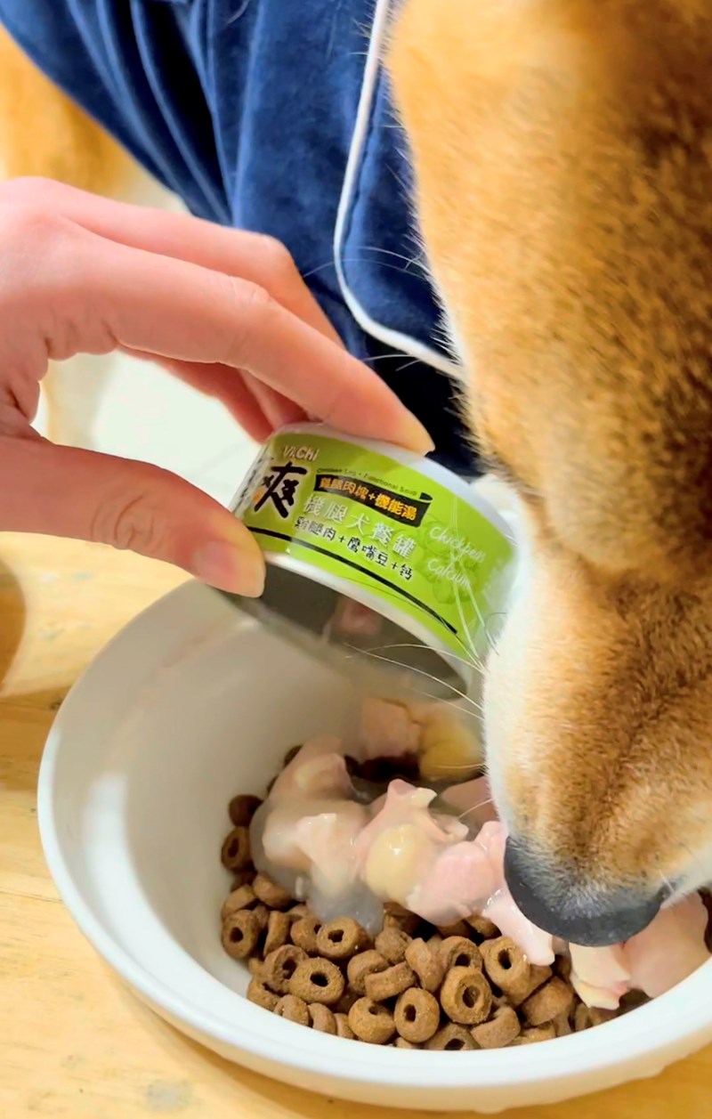 女人知己試用大隊,口碑行銷,部落客行銷,維齊 Vi.Chi 蒸爽機腿犬餐罐 80g,鮮嫩大塊雞腿肉,機能高湯補充營養與水分,低卡路里,低脂肪,易吸收,增強體質,大塊肉塊,口感十足