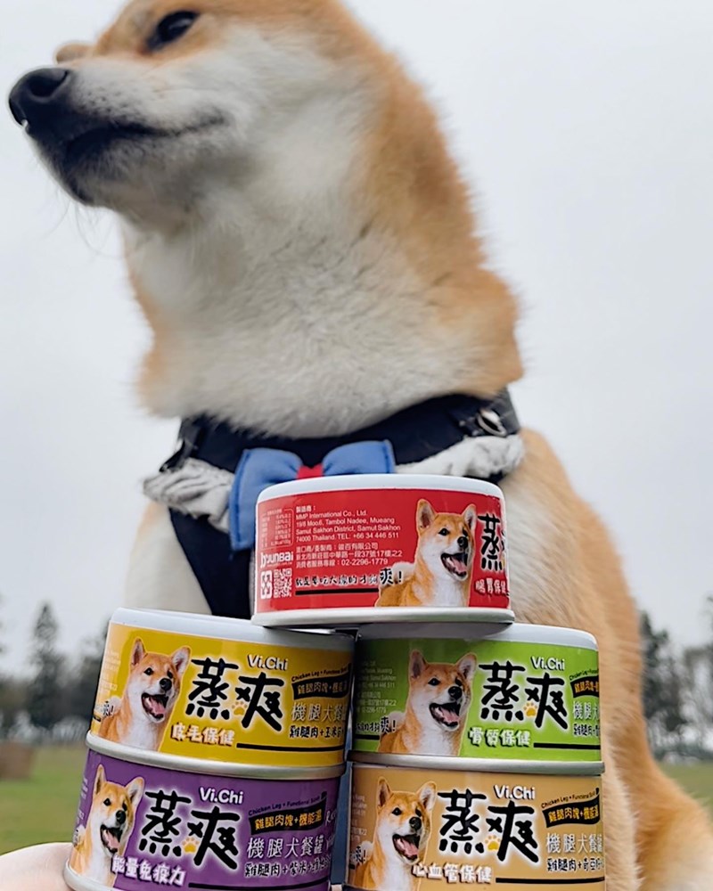 女人知己試用大隊,口碑行銷,部落客行銷,維齊 Vi.Chi 蒸爽機腿犬餐罐 80g,鮮嫩大塊雞腿肉,機能高湯補充營養與水分,低卡路里,低脂肪,易吸收,增強體質,大塊肉塊,口感十足