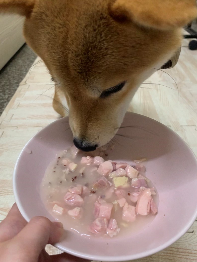 女人知己試用大隊,口碑行銷,部落客行銷,維齊 Vi.Chi 蒸爽機腿犬餐罐 80g,鮮嫩大塊雞腿肉,機能高湯補充營養與水分,低卡路里,低脂肪,易吸收,增強體質,大塊肉塊,口感十足