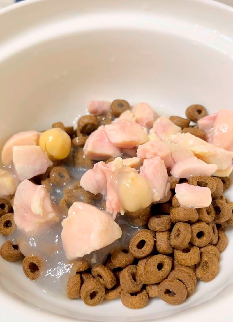 女人知己試用大隊,口碑行銷,部落客行銷,維齊 Vi.Chi 蒸爽機腿犬餐罐 80g,鮮嫩大塊雞腿肉,機能高湯補充營養與水分,低卡路里,低脂肪,易吸收,增強體質,大塊肉塊,口感十足