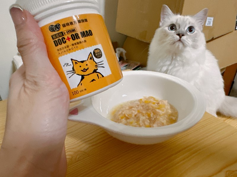 試用