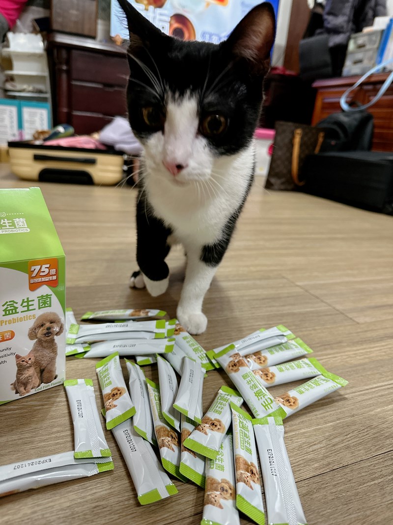 試用