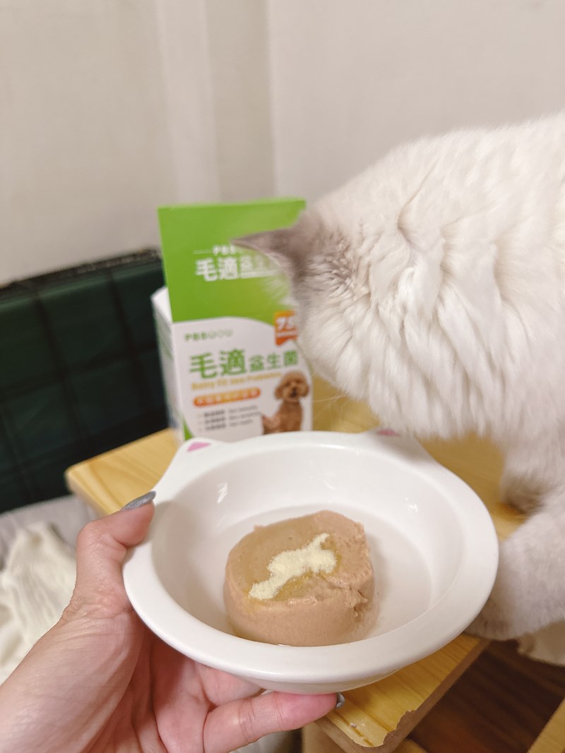 試用