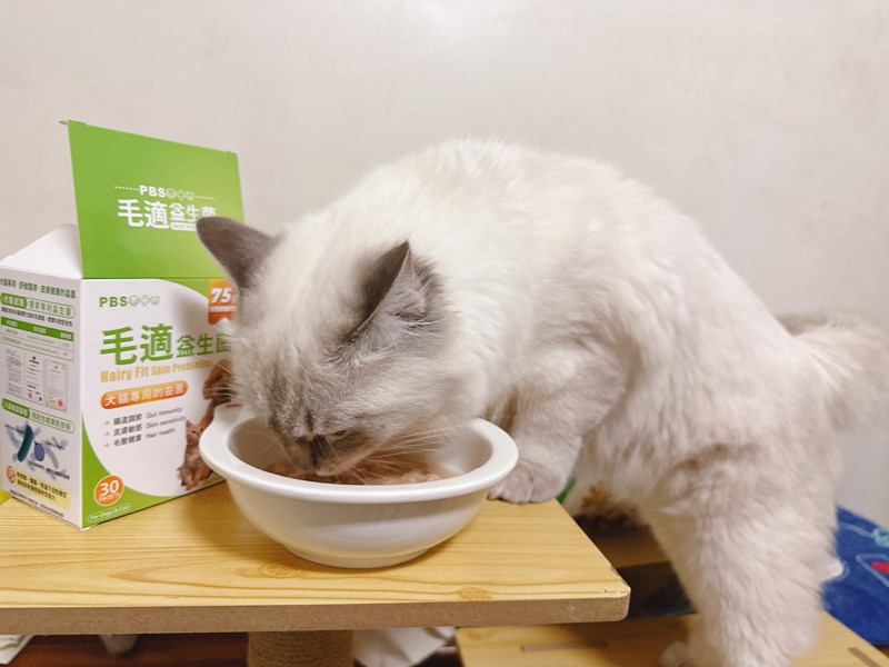 試用