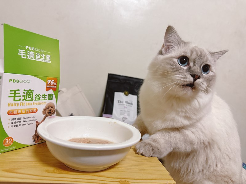 試用