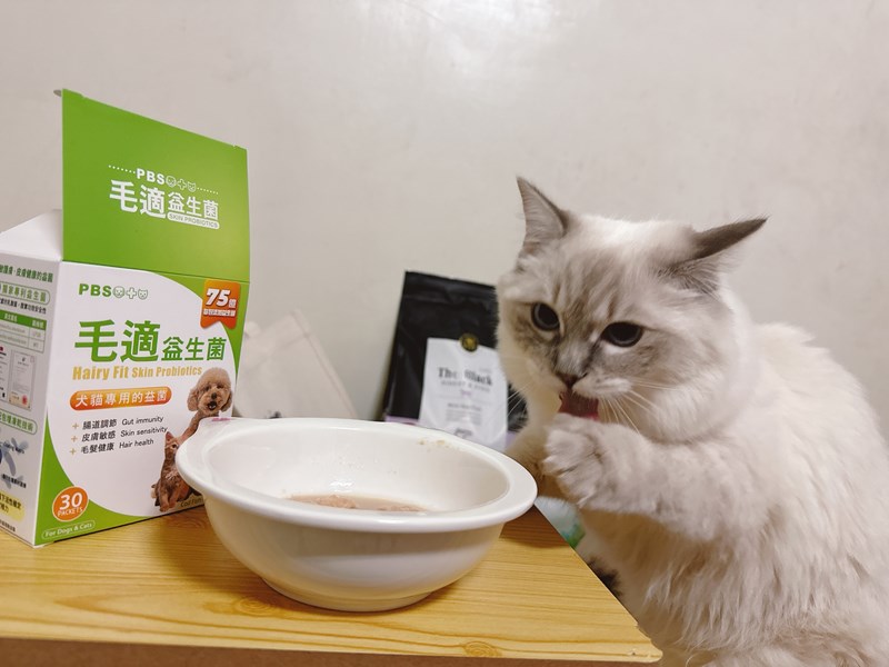 試用