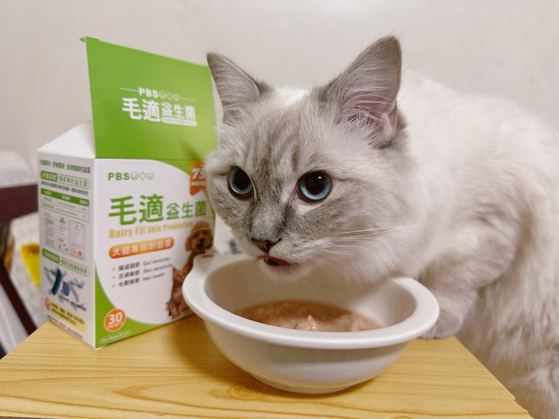 試用