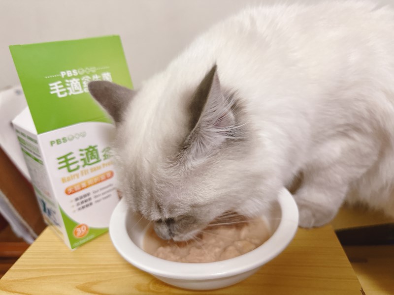 試用