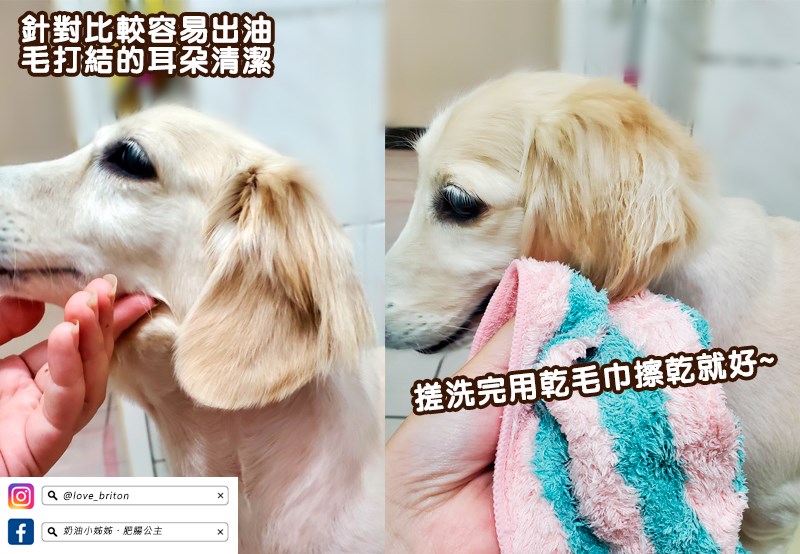 『HOPET有機植萃寵物乾洗慕斯』-討厭洗澡和怕水毛小孩的洗 試用