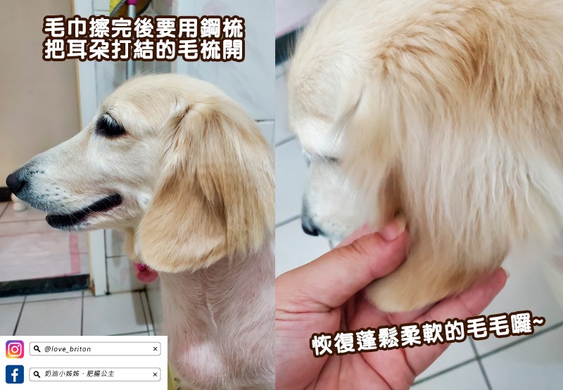 『HOPET有機植萃寵物乾洗慕斯』-討厭洗澡和怕水毛小孩的洗 試用