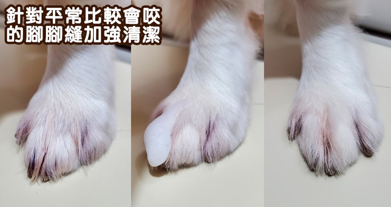 『HOPET有機植萃寵物乾洗慕斯』-討厭洗澡和怕水毛小孩的洗 試用