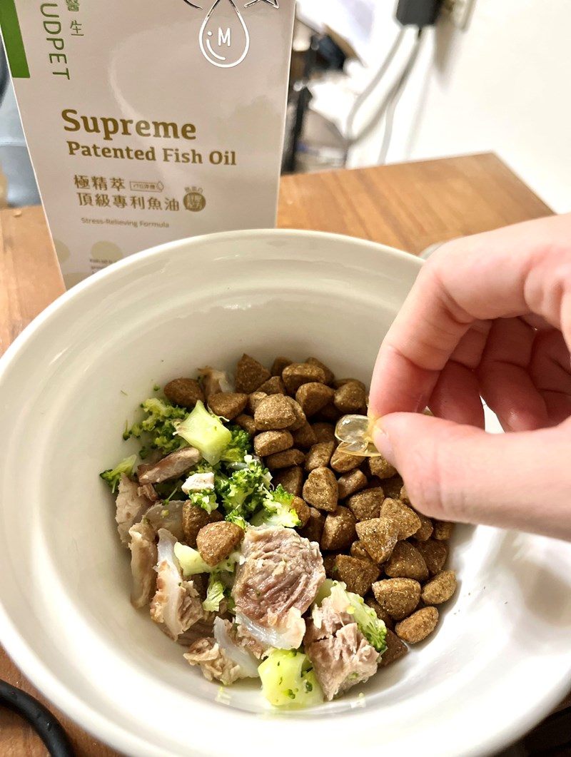 試用