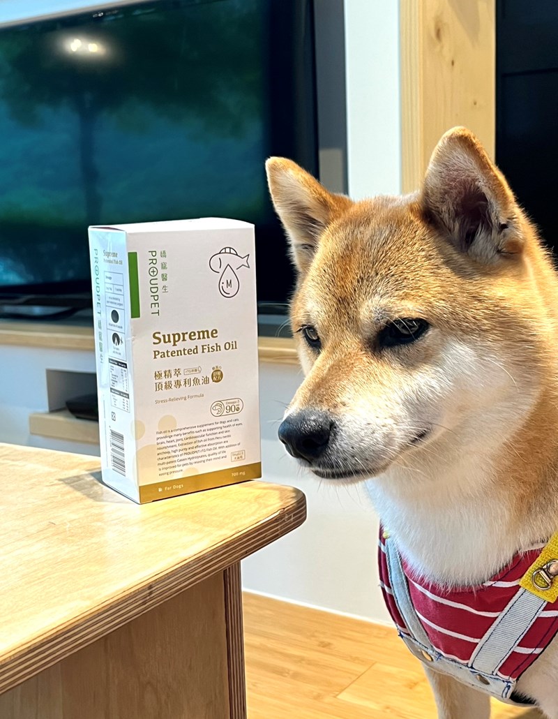 試用