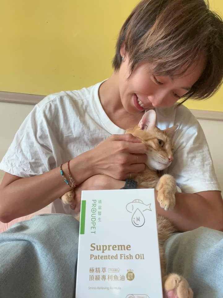 試用