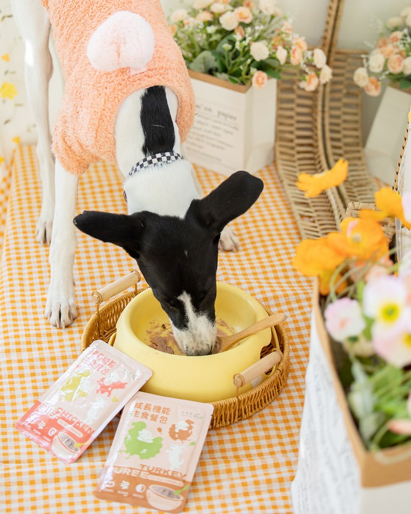 女人知己試用大隊,口碑行銷,部落客行銷,自然食 成長機能主食餐包,自然食,成長機能狗狗主食餐包,成長機能貓咪主食餐包,滿足毛孩最單純的幸福,人食等級食材,開封即食,綿密的肉泥狀質地,好吸收,無膠類,無色素,無防腐劑的添,維持腸道健康,添加DHA/靈芝多醣體,使用高優質蛋白,適口性佳,狗狗口味,犬用營養火雞,犬用嫩雞牛肉,貓咪口味,貓用營養嫩雞,貓用嫩雞鮪魚