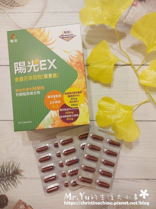 試用
