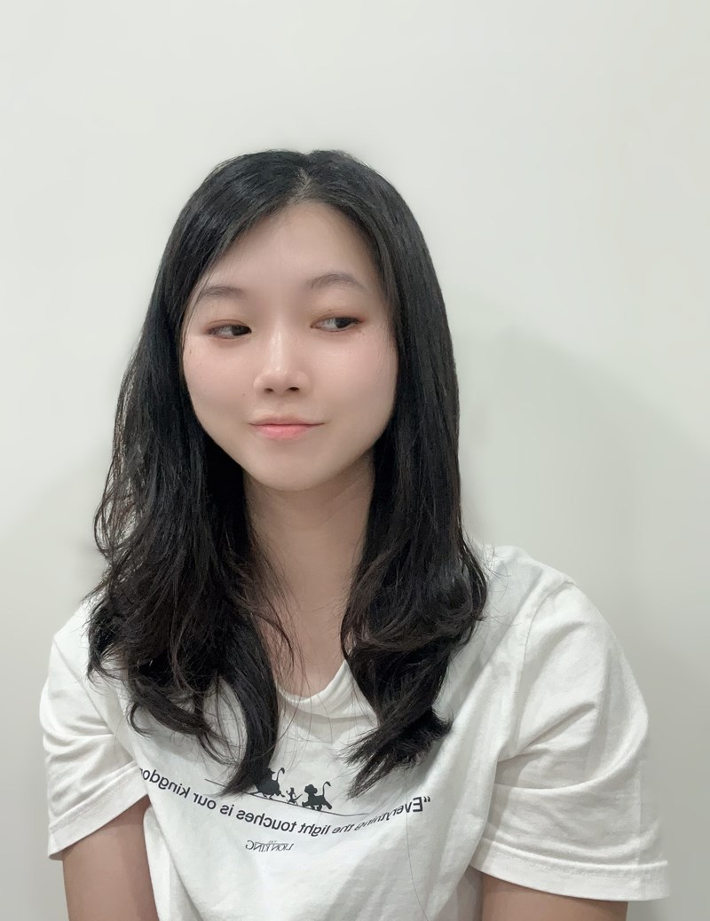 試用
