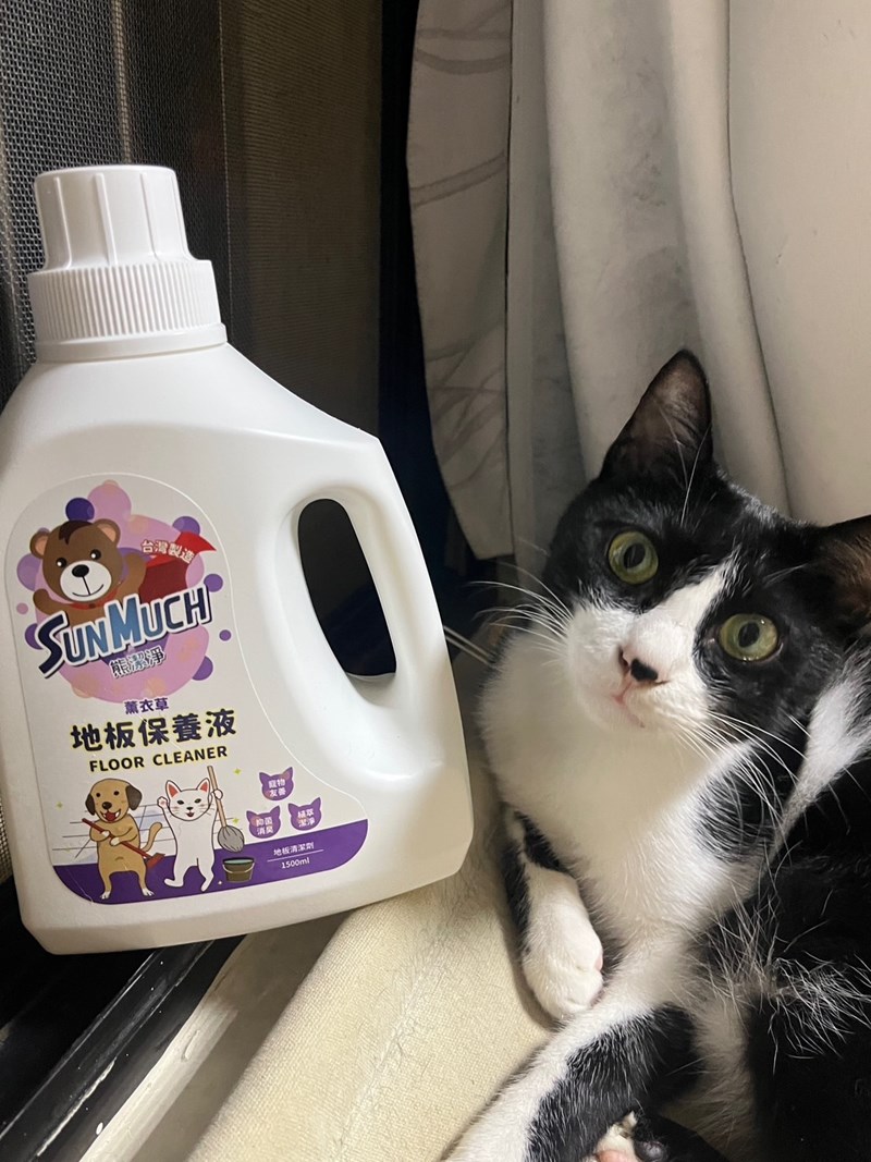 試用