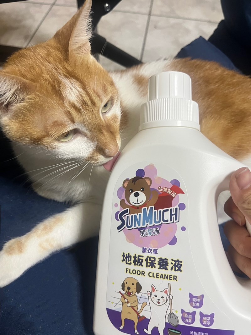 試用