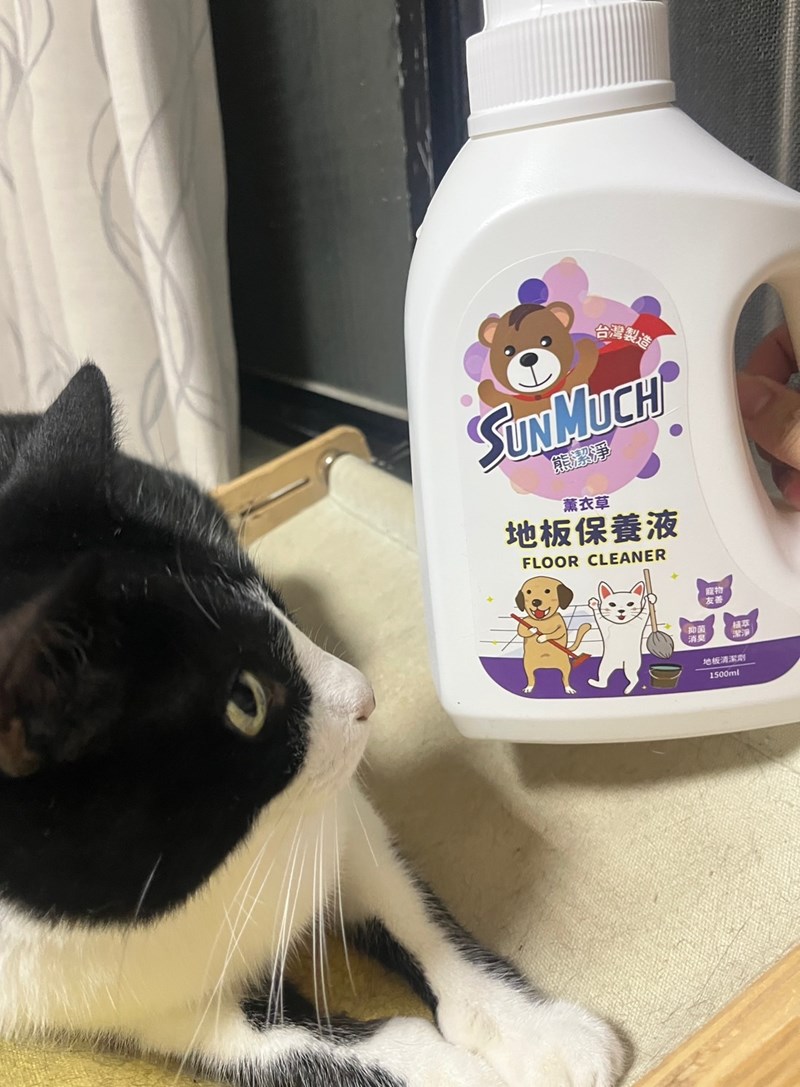 試用