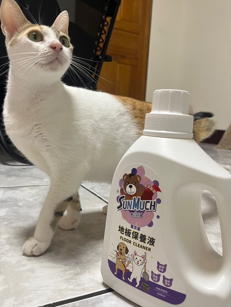 試用