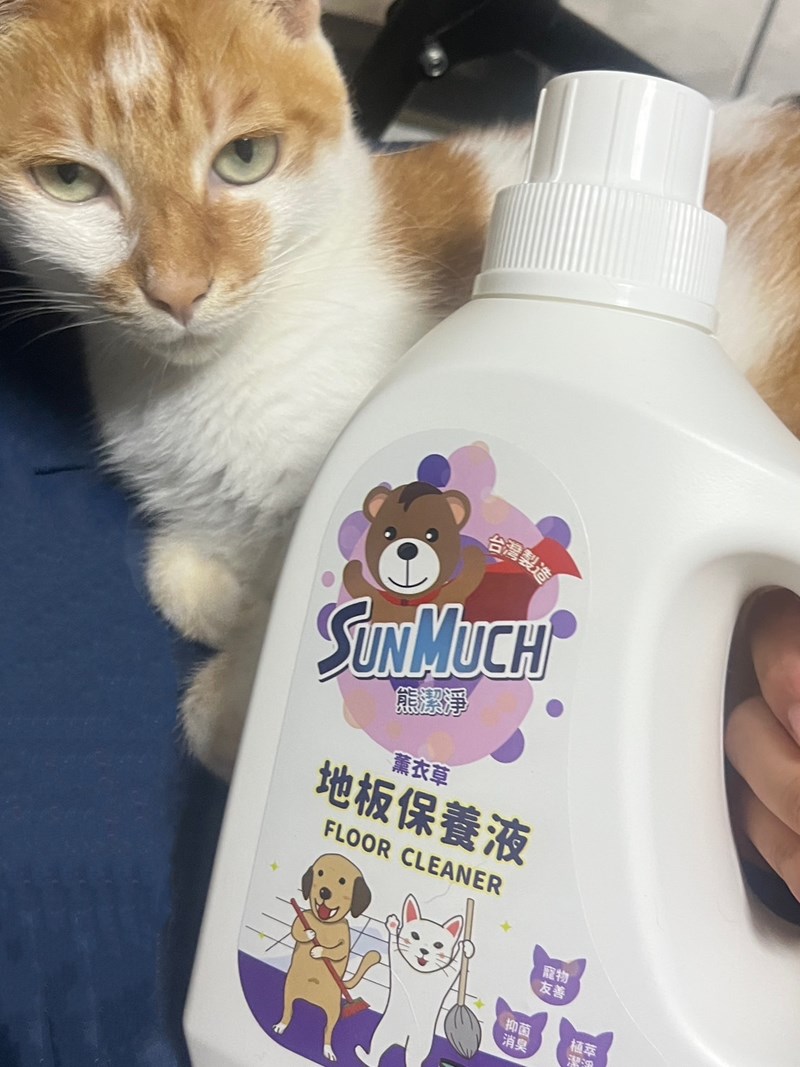 試用