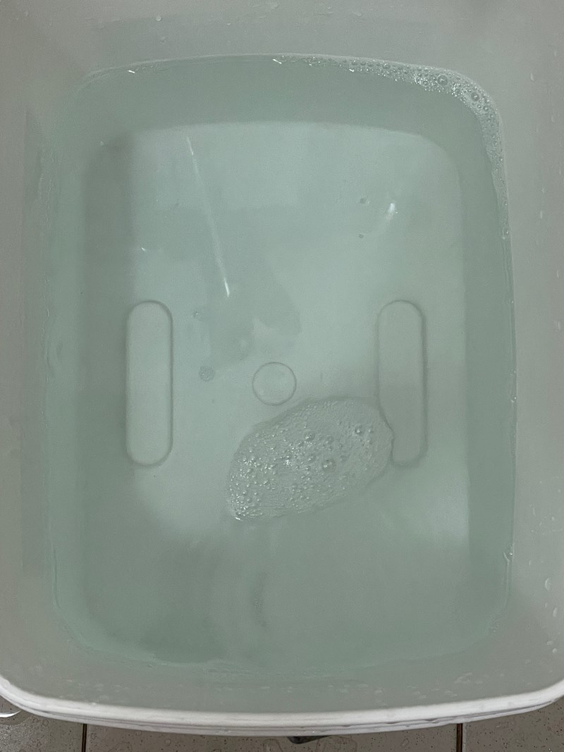 試用