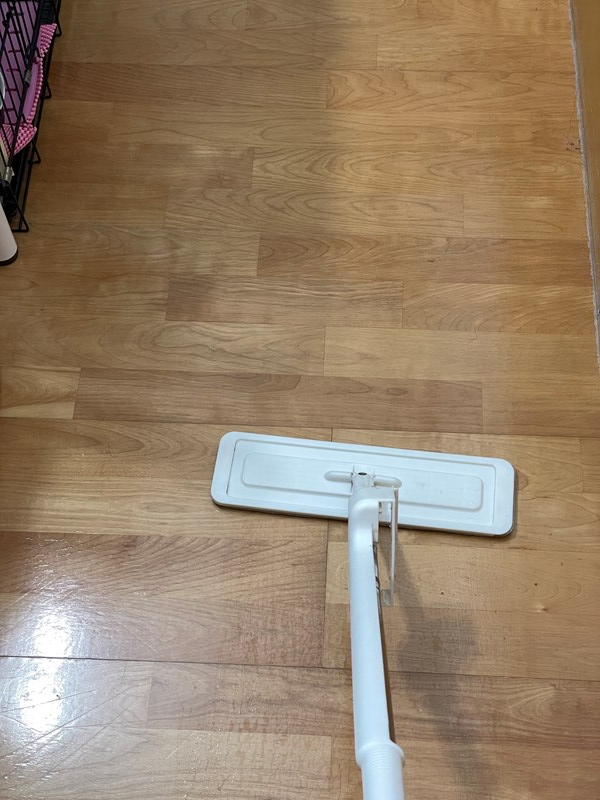 試用