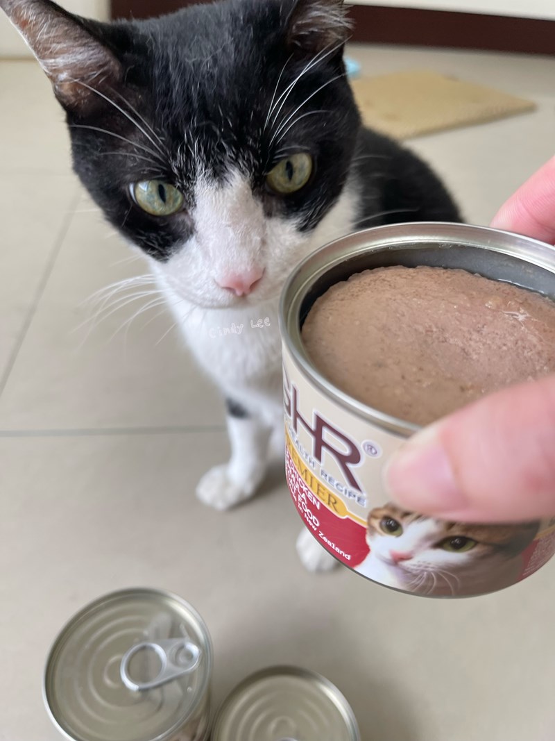 女人知己試用大隊,口碑行銷,部落客行銷,來自純淨自然無汙染的紐西蘭,自然主食罐,GHR 健康主義,GHR,貓用主食罐,貓罐,GHR貓用無穀主食罐,雞肉蔓越莓配方,鹿肉雞肉配方,牛羊加雞配方,刷尾負鼠肉雞肉配方,評價,口碑,適口性佳,心得,紐西蘭GHR,罐頭,貓咪,牛磺酸,軟骨素,維生素關節保健