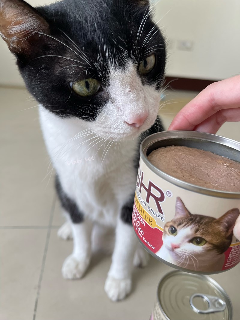 女人知己試用大隊,口碑行銷,部落客行銷,來自純淨自然無汙染的紐西蘭,自然主食罐,GHR 健康主義,GHR,貓用主食罐,貓罐,GHR貓用無穀主食罐,雞肉蔓越莓配方,鹿肉雞肉配方,牛羊加雞配方,刷尾負鼠肉雞肉配方,評價,口碑,適口性佳,心得,紐西蘭GHR,罐頭,貓咪,牛磺酸,軟骨素,維生素關節保健