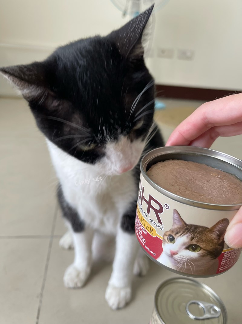 女人知己試用大隊,口碑行銷,部落客行銷,來自純淨自然無汙染的紐西蘭,自然主食罐,GHR 健康主義,GHR,貓用主食罐,貓罐,GHR貓用無穀主食罐,雞肉蔓越莓配方,鹿肉雞肉配方,牛羊加雞配方,刷尾負鼠肉雞肉配方,評價,口碑,適口性佳,心得,紐西蘭GHR,罐頭,貓咪,牛磺酸,軟骨素,維生素關節保健