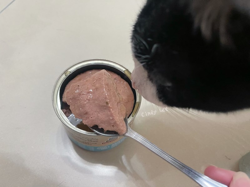 女人知己試用大隊,口碑行銷,部落客行銷,來自純淨自然無汙染的紐西蘭,自然主食罐,GHR 健康主義,GHR,貓用主食罐,貓罐,GHR貓用無穀主食罐,雞肉蔓越莓配方,鹿肉雞肉配方,牛羊加雞配方,刷尾負鼠肉雞肉配方,評價,口碑,適口性佳,心得,紐西蘭GHR,罐頭,貓咪,牛磺酸,軟骨素,維生素關節保健