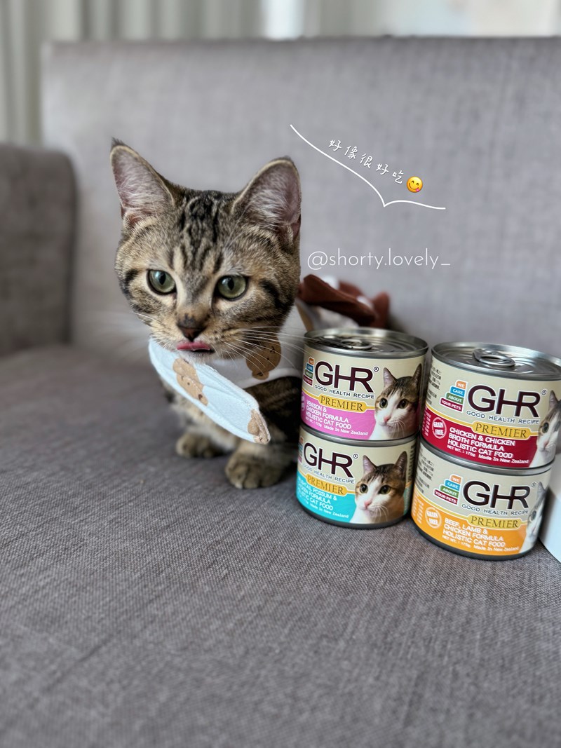 女人知己試用大隊,口碑行銷,部落客行銷,來自純淨自然無汙染的紐西蘭,自然主食罐,GHR 健康主義,GHR,貓用主食罐,貓罐,GHR貓用無穀主食罐,雞肉蔓越莓配方,鹿肉雞肉配方,牛羊加雞配方,刷尾負鼠肉雞肉配方,評價,口碑,適口性佳,心得,紐西蘭GHR,罐頭,貓咪,牛磺酸,軟骨素,維生素關節保健