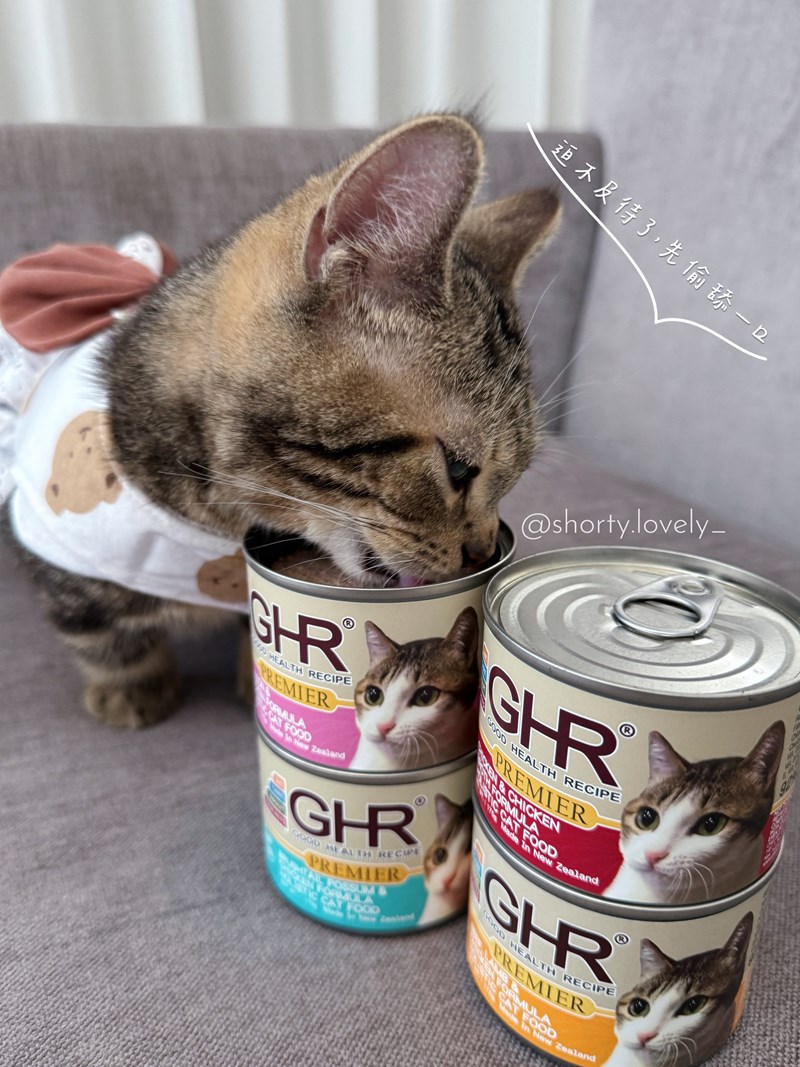 女人知己試用大隊,口碑行銷,部落客行銷,來自純淨自然無汙染的紐西蘭,自然主食罐,GHR 健康主義,GHR,貓用主食罐,貓罐,GHR貓用無穀主食罐,雞肉蔓越莓配方,鹿肉雞肉配方,牛羊加雞配方,刷尾負鼠肉雞肉配方,評價,口碑,適口性佳,心得,紐西蘭GHR,罐頭,貓咪,牛磺酸,軟骨素,維生素關節保健