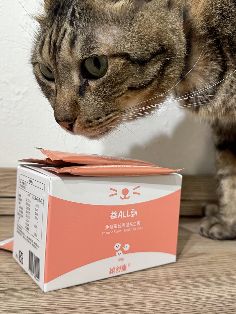 試用
