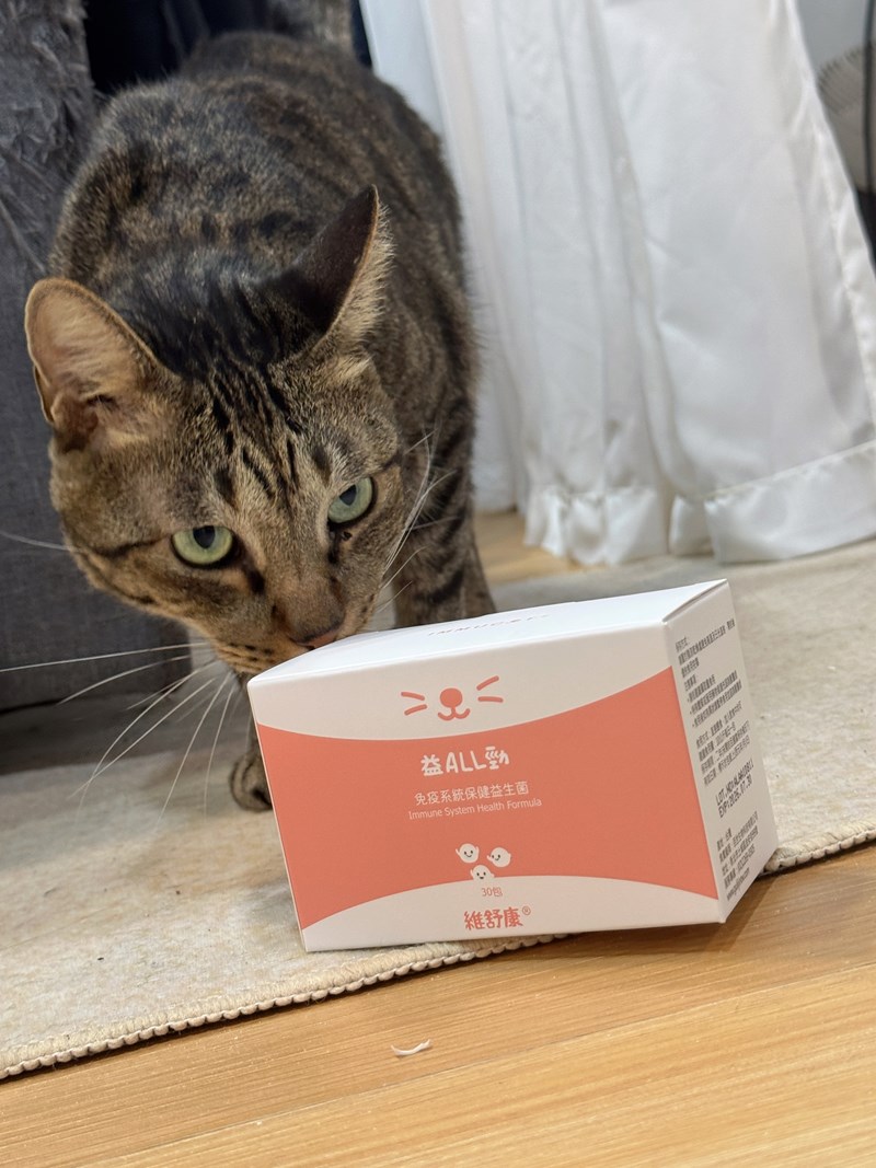 試用