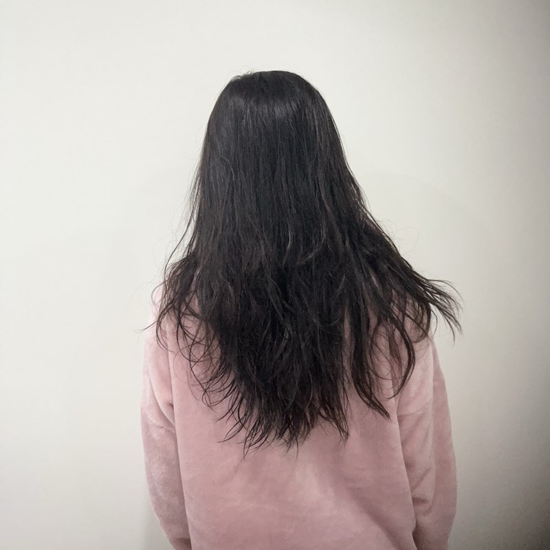 試用