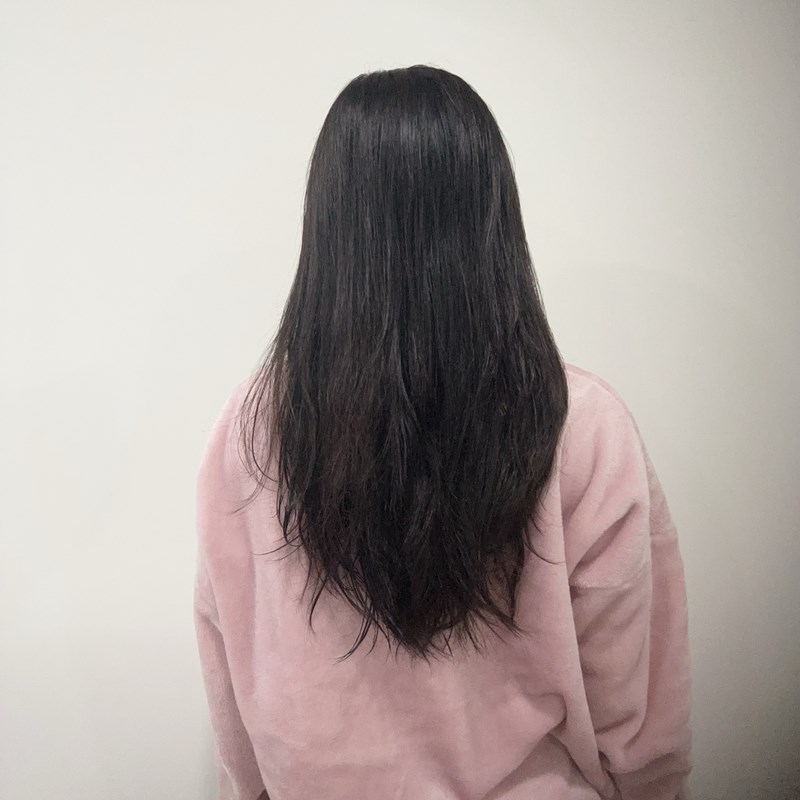 試用