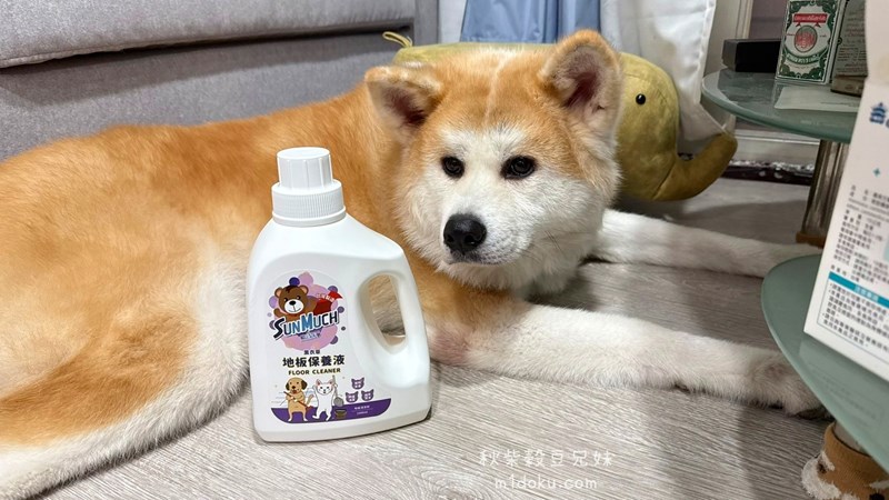 【寵物用品】SunMuch熊潔淨 薰衣草 地板保養液 植物萃取 寵物友善 潔淨光亮不黏膩 - 第1張圖 試用