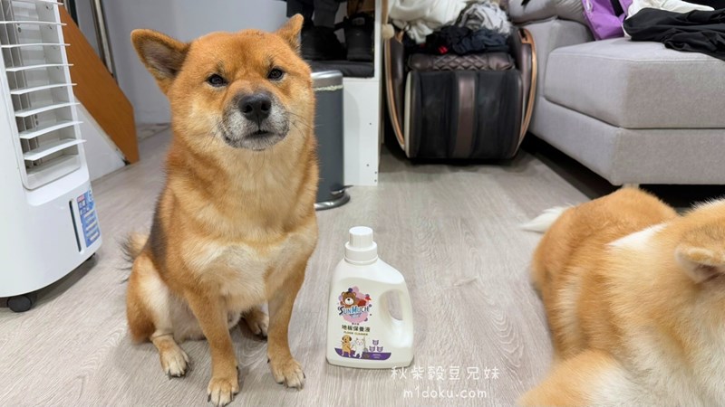 試用