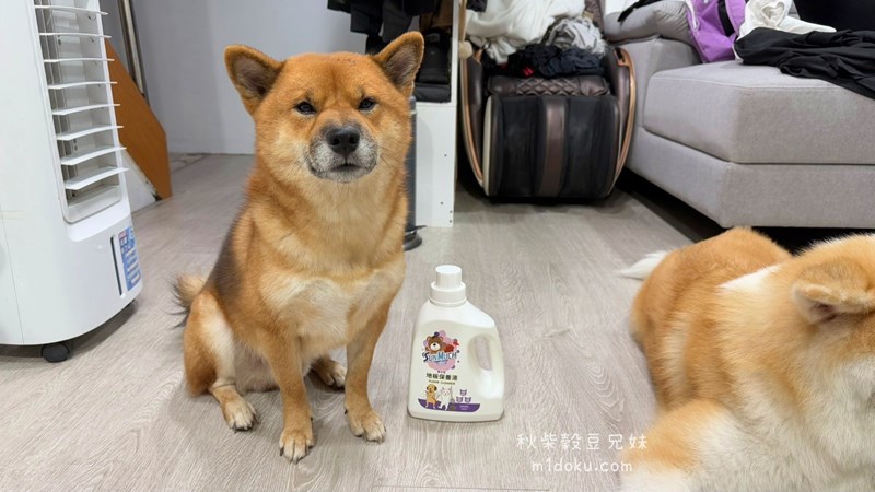 試用