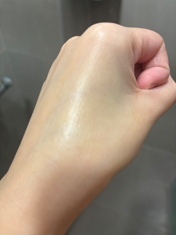 試用