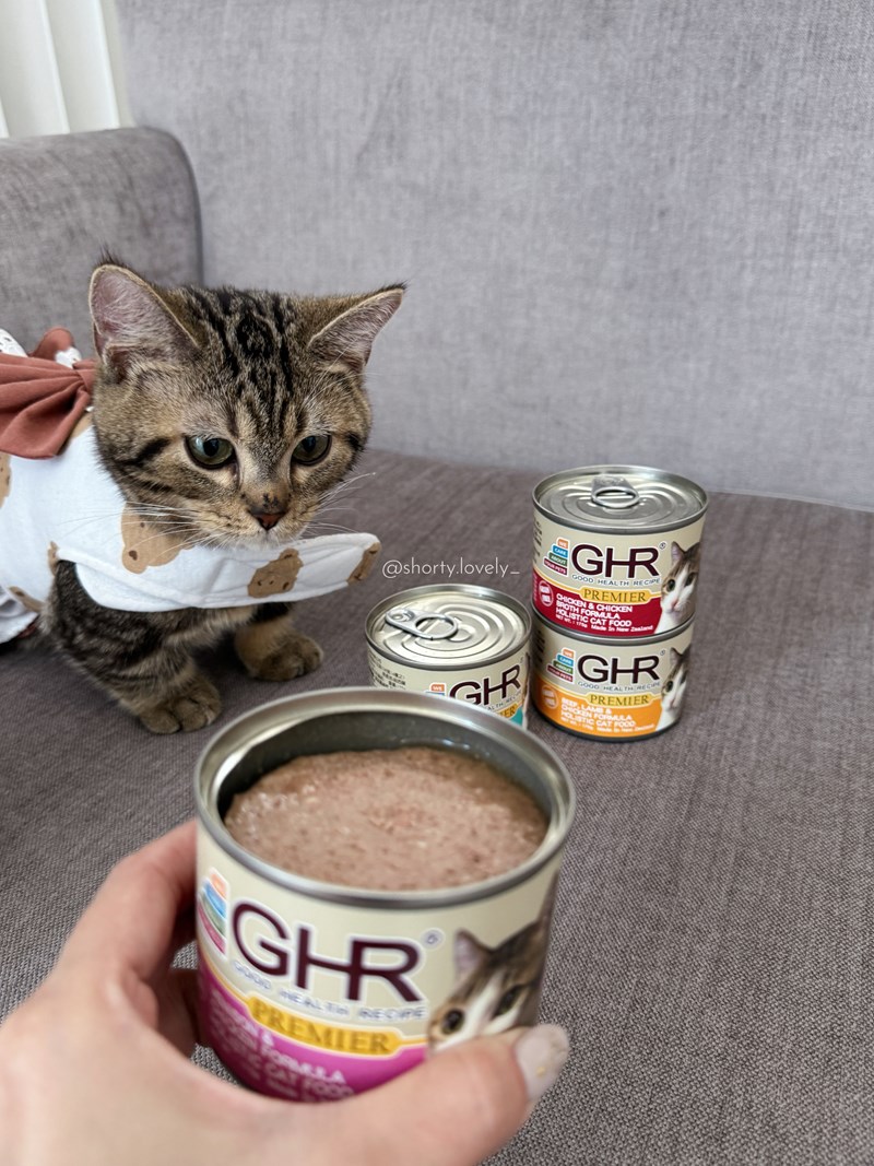 女人知己試用大隊,口碑行銷,部落客行銷,來自純淨自然無汙染的紐西蘭,自然主食罐,GHR 健康主義,GHR,貓用主食罐,貓罐,GHR貓用無穀主食罐,雞肉蔓越莓配方,鹿肉雞肉配方,牛羊加雞配方,刷尾負鼠肉雞肉配方,評價,口碑,適口性佳,心得,紐西蘭GHR,罐頭,貓咪,牛磺酸,軟骨素,維生素關節保健